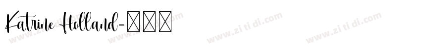 Katrine Holland字体转换